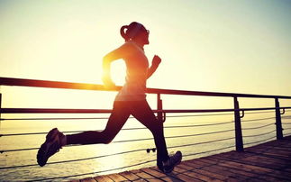 大連房產(chǎn)資訊關聯(lián)播 | 健身休閑活動引領都市健康生活新風尚