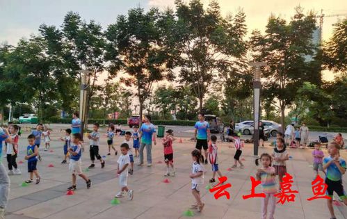 嘉魚市民休閑新風尚 健身運動與場地設施經(jīng)營共贏