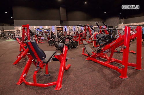 健身工廠 多店模式下的場(chǎng)地設(shè)施經(jīng)營(yíng)之道